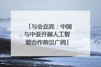 与会嘉宾：中国与中亚开展人工智能合作前景广阔