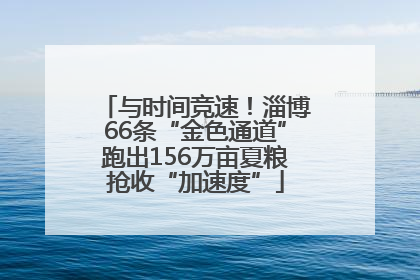 与时间竞速！淄博66条“金色通道”跑出156万亩夏粮抢收“加速度”