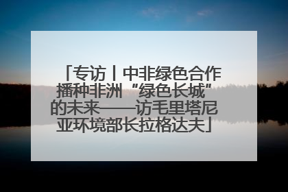 专访丨中非绿色合作播种非洲“绿色长城”的未来——访毛里塔尼亚环境部长拉格达夫