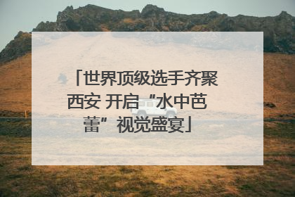 世界顶级选手齐聚西安 开启“水中芭蕾”视觉盛宴