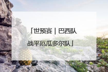 世预赛｜巴西队战平厄瓜多尔队