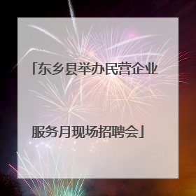 东乡县举办民营企业服务月现场招聘会