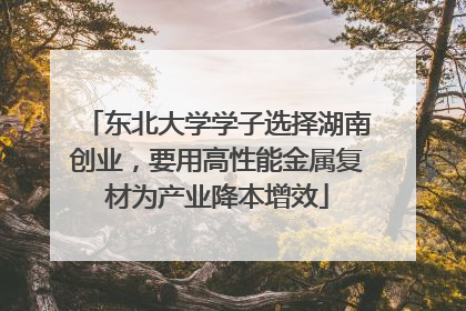 东北大学学子选择湖南创业，要用高性能金属复材为产业降本增效
