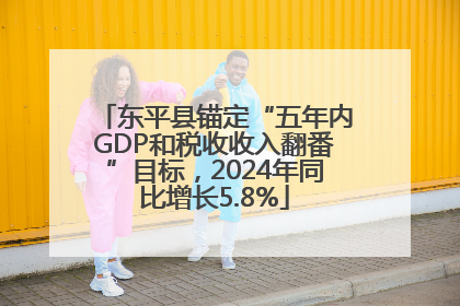 东平县锚定“五年内GDP和税收收入翻番”目标，2024年同比增长5.8%