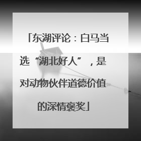 东湖评论：白马当选“湖北好人”，是对动物伙伴道德价值的深情褒奖