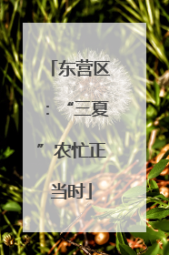 东营区：“三夏”农忙正当时