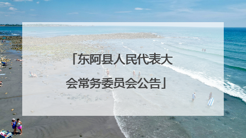 东阿县人民代表大会常务委员会公告