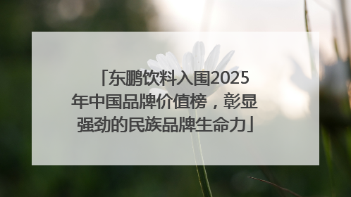 东鹏饮料入围2025年中国品牌价值榜，彰显强劲的民族品牌生命力