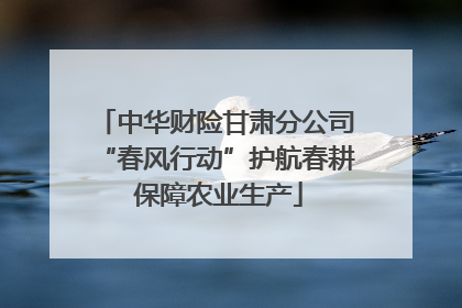 中华财险甘肃分公司“春风行动”护航春耕 保障农业生产