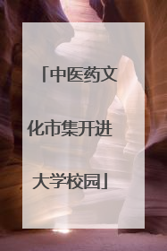中医药文化市集开进大学校园