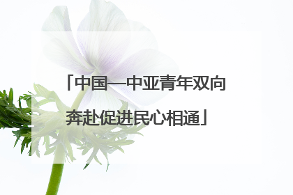 中国—中亚青年双向奔赴促进民心相通
