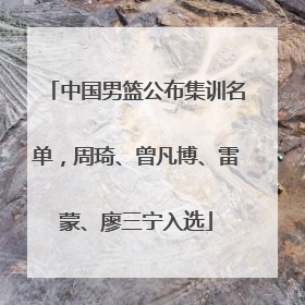 中国男篮公布集训名单，周琦、曾凡博、雷蒙、廖三宁入选