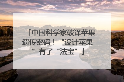 中国科学家破译苹果遗传密码！“设计苹果”有了“法宝”