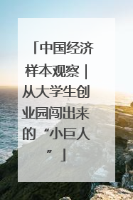 中国经济样本观察｜从大学生创业园闯出来的“小巨人”