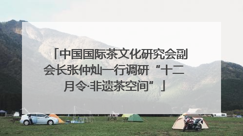 中国国际茶文化研究会副会长张仲灿一行调研“十二月令·非遗茶空间”