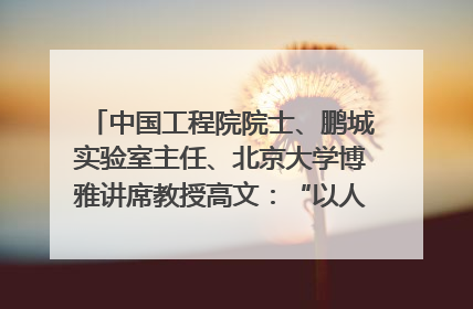 中国工程院院士、鹏城实验室主任、北京大学博雅讲席教授高文：“以人为本 智能向善” 推动文化与科技相生相促｜聚焦2025文化强国建设高峰论坛