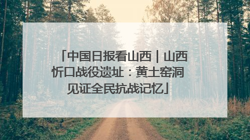 中国日报看山西｜山西忻口战役遗址：黄土窑洞见证全民抗战记忆