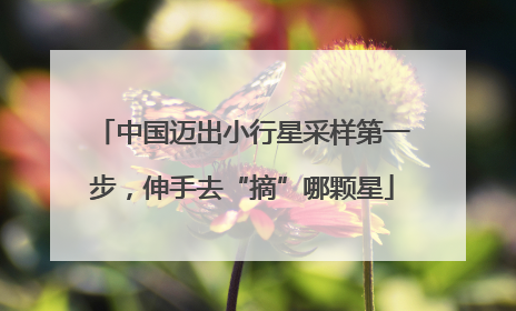 中国迈出小行星采样第一步，伸手去“摘”哪颗星