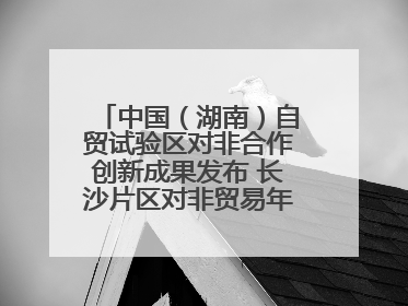 中国（湖南）自贸试验区对非合作创新成果发布 长沙片区对非贸易年均增长141%