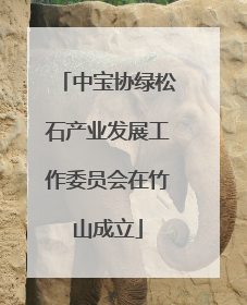 中宝协绿松石产业发展工作委员会在竹山成立