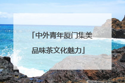 中外青年厦门集美品味茶文化魅力