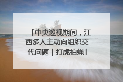 中央巡视期间，江西多人主动向组织交代问题｜打虎拍蝇