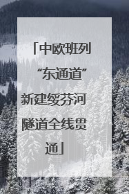 中欧班列“东通道”新建绥芬河隧道全线贯通