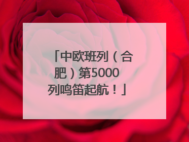 中欧班列（合肥）第5000列鸣笛起航！