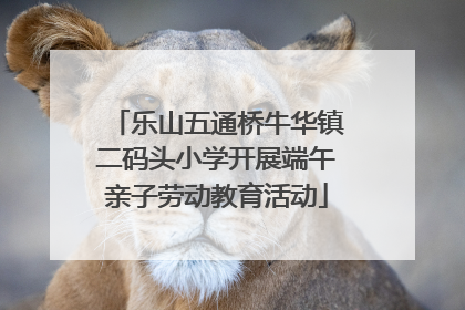 乐山五通桥牛华镇二码头小学开展端午亲子劳动教育活动
