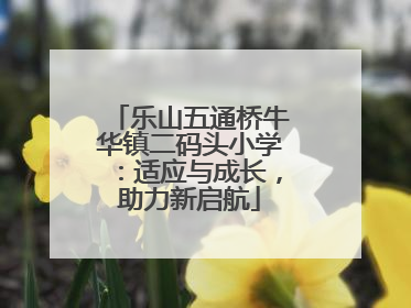 乐山五通桥牛华镇二码头小学：适应与成长，助力新启航