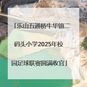 乐山五通桥牛华镇二码头小学2025年校园足球联赛圆满收官