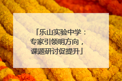 乐山实验中学：专家引领明方向，课题研讨促提升
