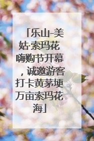 乐山-美姑·索玛花嗨购节开幕，诚邀游客打卡黄茅埂万亩索玛花海