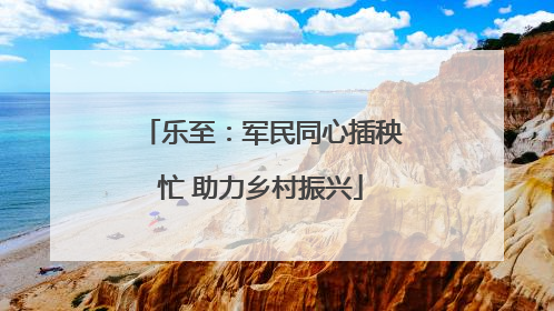 乐至：军民同心插秧忙 助力乡村振兴