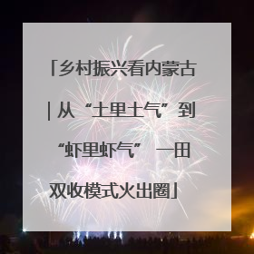 乡村振兴看内蒙古｜从“土里土气”到“虾里虾气” 一田双收模式火出圈