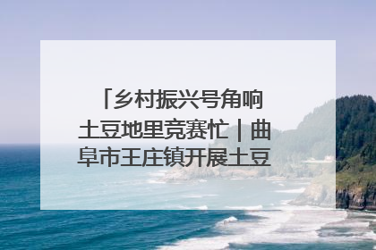 乡村振兴号角响 土豆地里竞赛忙｜曲阜市王庄镇开展土豆收获劳动竞赛