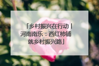 乡村振兴在行动丨河南南乐：西红柿铺就乡村振兴路