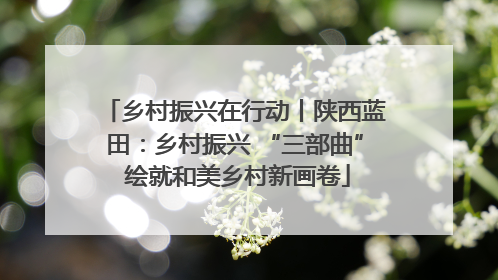 乡村振兴在行动丨陕西蓝田：乡村振兴 “三部曲” 绘就和美乡村新画卷