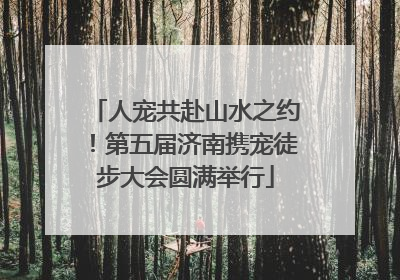 人宠共赴山水之约！第五届济南携宠徒步大会圆满举行
