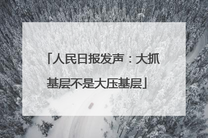 人民日报发声：大抓基层不是大压基层