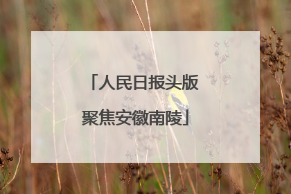 人民日报头版聚焦安徽南陵