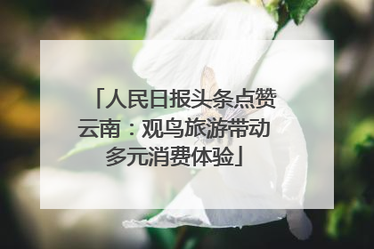 人民日报头条点赞云南：观鸟旅游带动多元消费体验