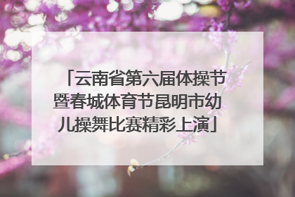 云南省第六届体操节暨春城体育节昆明市幼儿操舞比赛精彩上演