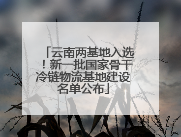 云南两基地入选！新一批国家骨干冷链物流基地建设名单公布