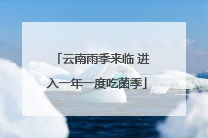 云南雨季来临 进入一年一度吃菌季