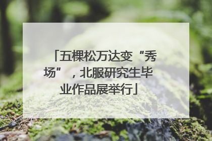 五棵松万达变“秀场”，北服研究生毕业作品展举行