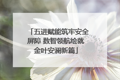 五进赋能筑牢安全屏障 数智领航绘就金叶安澜新篇