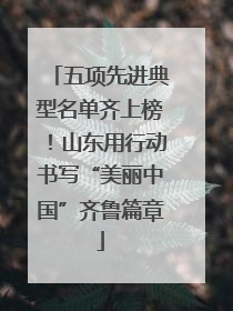 五项先进典型名单齐上榜！山东用行动书写“美丽中国”齐鲁篇章