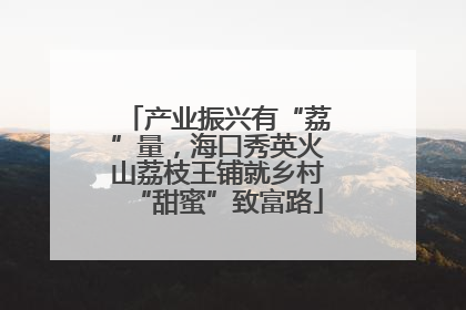 产业振兴有“荔”量，海口秀英火山荔枝王铺就乡村“甜蜜”致富路