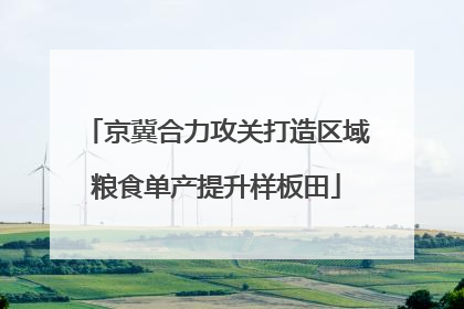 京冀合力攻关打造区域粮食单产提升样板田